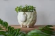 Керамический вазон для растений Mini Plant Овечка Животное желтая, размер 10,5 x 9,5 см - изображение 2