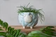 Керамический горшок для растений Mini Plant Овечка Животное голубая размер 10,5 x 9,5 см - изображение 1