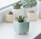 Керамический горшок для растений Mini Plant маленького размера 6,4х6,5см Квадратный Мятный - изображение 4