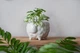 Керамический горшок для растений Mini Plant Овечка Животное белая, размер 7,5 x 8,5 см - изображение 2