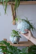 Керамический горшок для растений Mini Plant Овечка Животное голубая размер 10,5 x 9,5 см - изображение 5