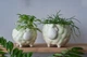 Керамический вазон для растений Mini Plant Овечка Животное желтая, размер 10,5 x 9,5 см - изображение 6