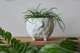 Керамический вазон для растений Mini Plant Овечка Животное белая размер 10,5 x 9,5 см - изображение 4
