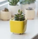 Керамический горшок для суккулентов Mini Plant маленького размера 6,4х6,5см Квадратный Яркий Желтый - изображение 4