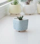 Керамический горшок для кактусов Mini Plant размер XS 5,2х5,1см Квадратный Голубой в крапинку - изображение 1