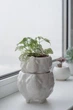 Керамический вазон для растений Mini Plant Овечка Животное белая размер 10,5 x 9,5 см - изображение 8