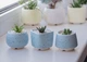 Керамический горшок для кактусов Mini Plant размер XS 5,2х5,1см Квадратный Голубой в крапинку - изображение 3