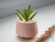 Керамический горшок для суккулентов Mini Plant размер XS 4,9х5,2см Трапеция Розовый - изображение 1