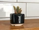 Керамический горшок для кактусов Mini Plant размер XS 5,2х5,1см Квадратный Черный - изображение 1