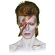 Футболка Fanbolka David Bowie Дэвид Боуи M Белая (016WHMM) - изображение 2