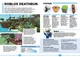 Roblox. Найкращі пригодницькі ігри - Алекс Вілтшир, Крейг Джеллі (9786177688333) - изображение 6