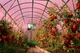 Теплица KZT «Весенняя» с поликарбонатом GreenHouse NANO 8мм, 300х400х200 (см) - изображение 6