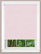 Ролета Roll Star 80x180 см Luminis Розовая (А936) - изображение 1
