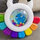 Брязкальце Baby Einstein Outstanding Opus (12487) (074451124875) - зображення 13