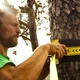 Набор Gibbon Classic Line 2019 no Treewear Set - изображение 2