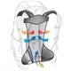 Рюкзак Deuter Bike I Air EXP 16 midnight-moss (3203017 3221) - зображення 2