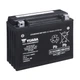 Аккумулятор Yuasa High Performance MF VRLA Battery (сухозаряженный) 22,1 Ah/12V "0" (+ справа) - изображение 2