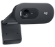 Веб-камера Logitech C505 (960-001364) - изображение 8