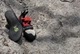 Скальники Scarpa Force (70020-001) 39,5 Чорний-Червоний - зображення 3