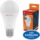 Світлодіодна лампа ELECTRUM LED A60 8W E27 3000K Elegant PA LS-33 (A-LS-1918) - зображення 2