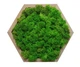 Картина шестиугольная MossArt из стабилизированного мха 20 см Grass Green (1487) - изображение 1