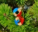 Серьги плаги WoodWork TUNNEL Round Red-Blue 50 мм Деревянные - изображение 3