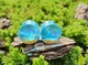 Серьги плаги WoodWork TUNNEL Round Blue Translucent 36 мм Деревянные - изображение 9