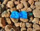 Серьги плаги WoodWork TUNNEL Round Blue Foil 34 мм Деревянные - изображение 1