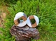 Сережки плаги WoodWork TUNNEL Round White Wood 56 мм Дерев'яні - зображення 3