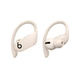 Наушники Beats by Dr. Dre Powerbeats Pro Ivory (MV722) - изображение 1