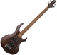 Бас-гитара LTD F204FM Walnut Brown Satin (F204FM WBS) - изображение 1