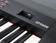 Сценическое фортепиано Thomann SP-5600 - изображение 5