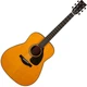 Гітара акустична Yamaha FG5 - зображення 1