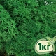 Стабилизированный мох ягель Nordic moss Зеленый травяной темный 1 кг - изображение 1