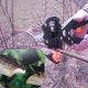 Прививочный секатор для прививки в футляре Professional Grafting Tool с 3 ножами + отвертка и ключ - изображение 8