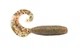 Силиконовый твистер для микроджига Reins Fat G-tail Grub 2" #406 Boil Shrimp (съедобный, 20шт) - изображение 1