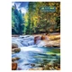 Канцелярская книга Buromax А4, 96 л., Клетка, твердая ламинированная обложка (BM.2430) - зображення 1