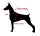 Кофта с капюшоном для собак DogClub Security S - изображение 4
