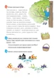 Європейські канікули: літній зошит. Закріплюю вивчене за 3 клас - Шульц П. (9789669440976) - зображення 7