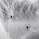 Паутина на Хэллоуин «Spider Webs» с двумя пауками белая (T77) - изображение 1