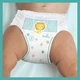 Підгузник Pampers трусики Pants Giant Розмір 7 (17+ кг) 74 шт. (8006540069622) - зображення 11
