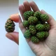 Варенье из сосновых шишок 234 г Endorfine - изображение 5