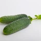 Семена огурцов Lucky Seed Лс 1912 f1 (ls 1912 f1) 100 семян - изображение 2
