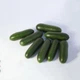 Семена огурцов Kitano Seeds Кс 1599 f1 100 семян - изображение 2