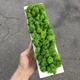 Деревяное кашпо со стабилизированым мхом 30 см MiNature Moss - изображение 2