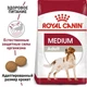 Сухий корм для дорослих собак середніх порід Royal Canin Medium Adult старше 12 місяців 4 кг (3182550708197) (99085) (3004040) - изображение 4