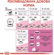 Сухой корм для котят от 4 до 12 месяцев Royal Canin Kitten 10 кг (3182550702973) - изображение 4