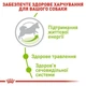 Сухой корм Royal Canin X-Small Adult 8+ для собак мелких пород весом до 4 кг старше 8 лет 3 кг (3182550831345) - изображение 9