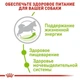 Сухой корм Royal Canin X-Small Adult 8+ для собак мелких пород весом до 4 кг старше 8 лет 3 кг (3182550831345) - изображение 10