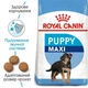 Сухой корм Royal Canin Maxi Puppy для щенков крупных пород до 15 месяцев 15 кг (3182550402163) - изображение 3